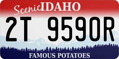 ID license plate 2T9590R