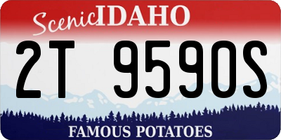 ID license plate 2T9590S