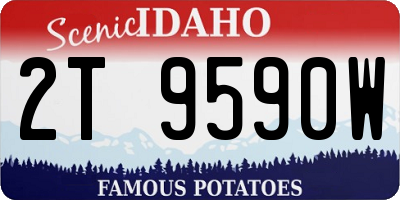 ID license plate 2T9590W