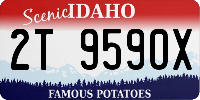 ID license plate 2T9590X