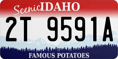 ID license plate 2T9591A