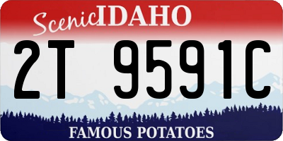 ID license plate 2T9591C