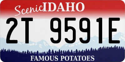 ID license plate 2T9591E