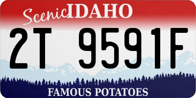 ID license plate 2T9591F