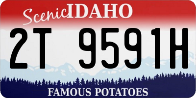 ID license plate 2T9591H