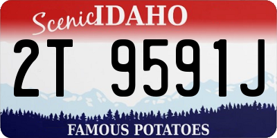 ID license plate 2T9591J