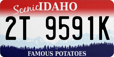 ID license plate 2T9591K