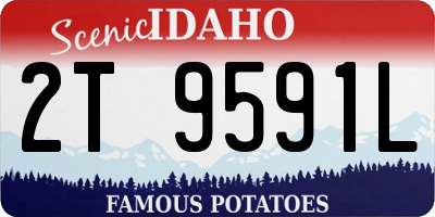 ID license plate 2T9591L