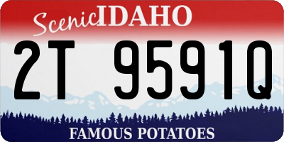 ID license plate 2T9591Q