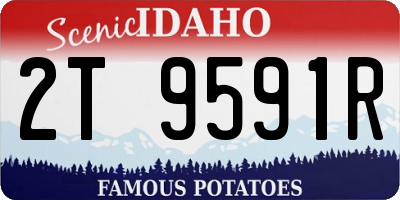 ID license plate 2T9591R