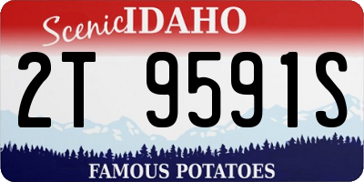 ID license plate 2T9591S