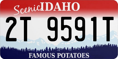ID license plate 2T9591T