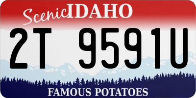 ID license plate 2T9591U