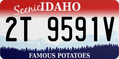 ID license plate 2T9591V