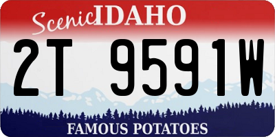 ID license plate 2T9591W