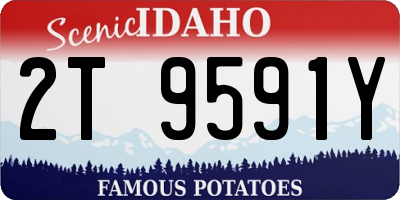 ID license plate 2T9591Y
