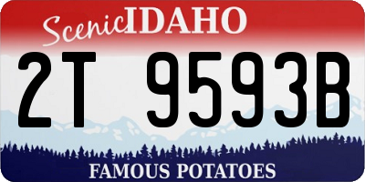 ID license plate 2T9593B