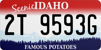 ID license plate 2T9593G