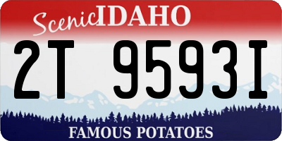 ID license plate 2T9593I