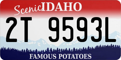 ID license plate 2T9593L