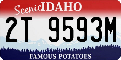 ID license plate 2T9593M