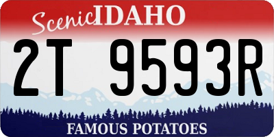 ID license plate 2T9593R