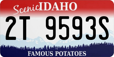 ID license plate 2T9593S