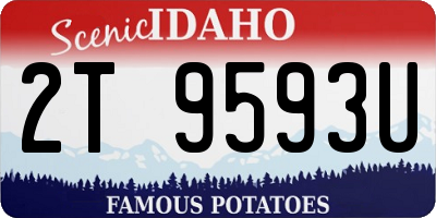 ID license plate 2T9593U