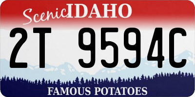 ID license plate 2T9594C