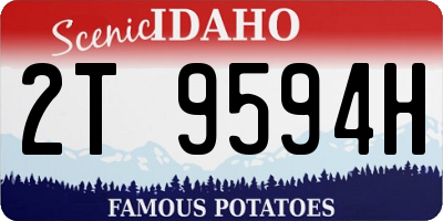 ID license plate 2T9594H