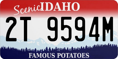 ID license plate 2T9594M