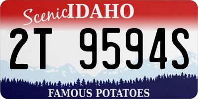 ID license plate 2T9594S