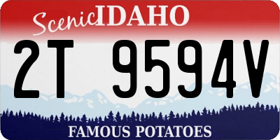 ID license plate 2T9594V