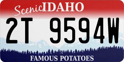 ID license plate 2T9594W