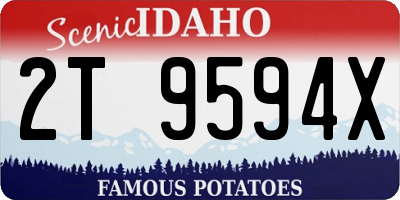 ID license plate 2T9594X