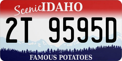 ID license plate 2T9595D