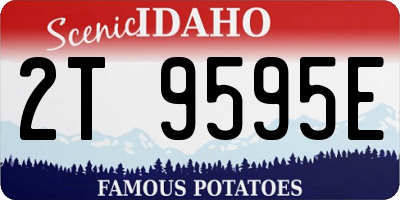 ID license plate 2T9595E