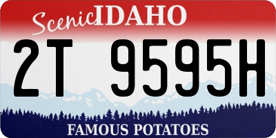 ID license plate 2T9595H