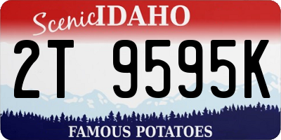 ID license plate 2T9595K