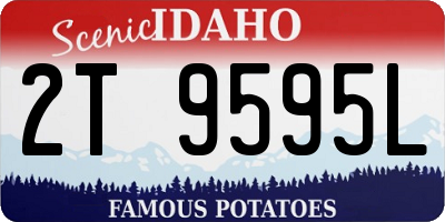 ID license plate 2T9595L