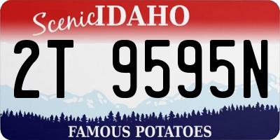 ID license plate 2T9595N