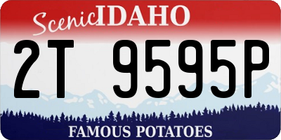 ID license plate 2T9595P