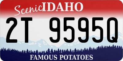 ID license plate 2T9595Q