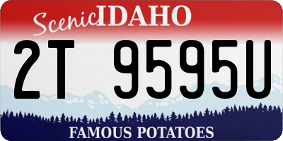 ID license plate 2T9595U