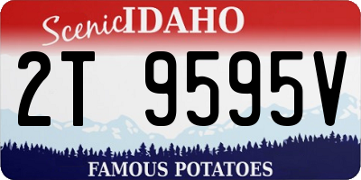 ID license plate 2T9595V