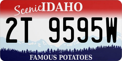 ID license plate 2T9595W