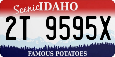 ID license plate 2T9595X