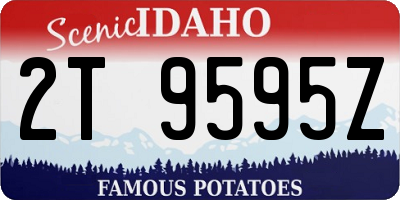 ID license plate 2T9595Z