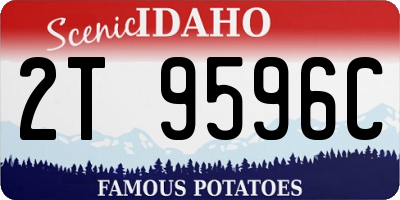 ID license plate 2T9596C