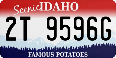 ID license plate 2T9596G